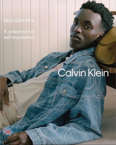 Pivot Aurel portfolio image