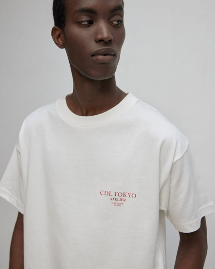 Pivot Aurel portfolio image