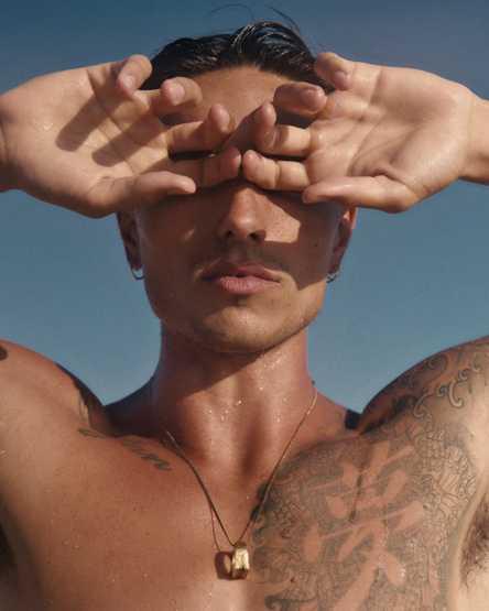 Natal Mesaro portfolio image