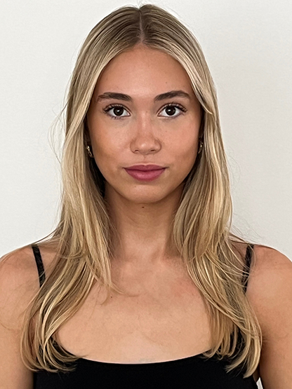 Taylor Green digital image