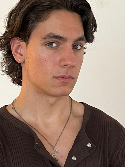 Attila digital image