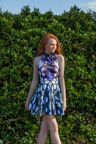 Rylie portfolio image