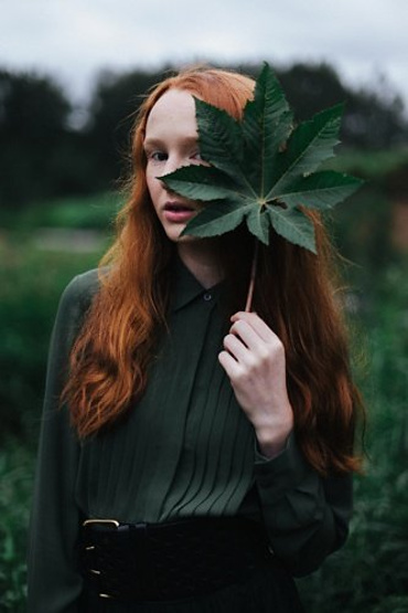 Rylie portfolio image