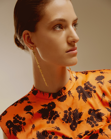 Sophia Scata portfolio image